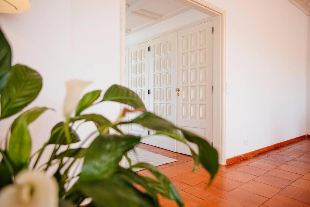 Penthouse S.Jorge Seaview T4 Apartment Quarteira Exterior foto